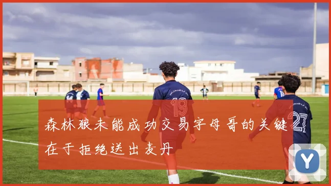 森林狼未能成功交易字母哥的关键在于拒绝送出麦丹